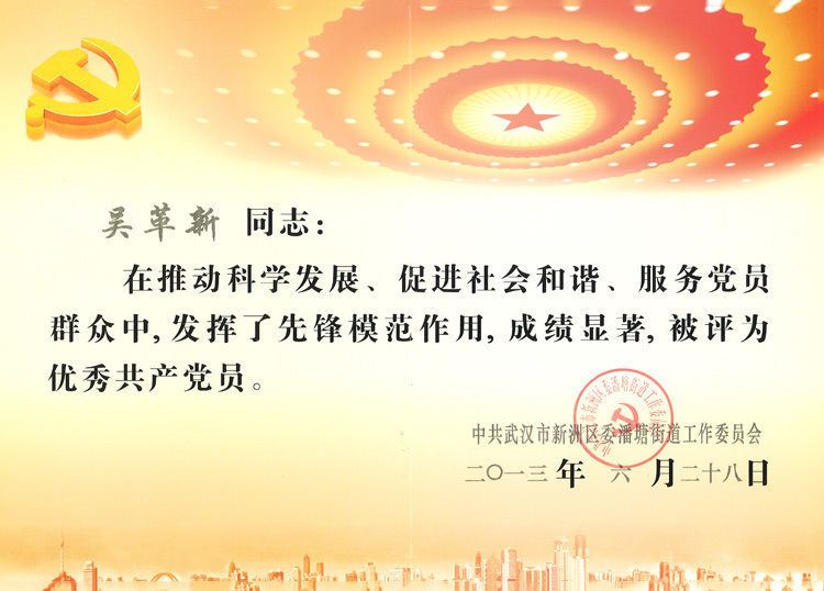 2013年度优秀党员——吴革新