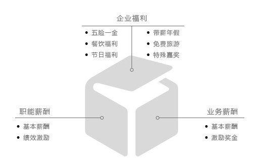 新澳金龙资料大全