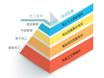 新澳金龙资料大全