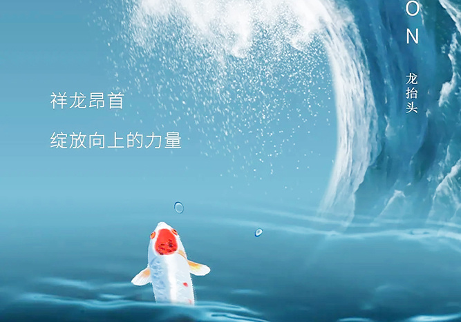 二月二丨龙抬头