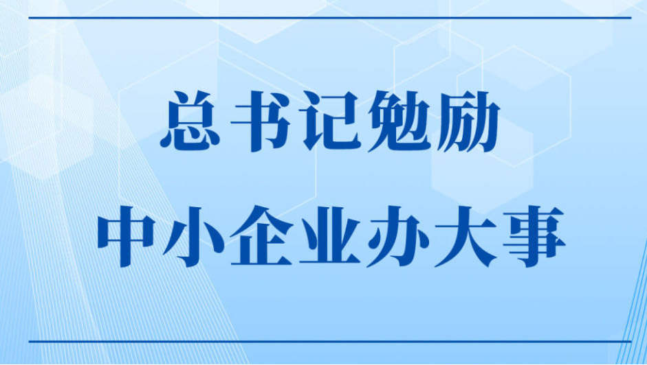 从总书记“中小企业办大事”的勉励 看公司发展新路途​