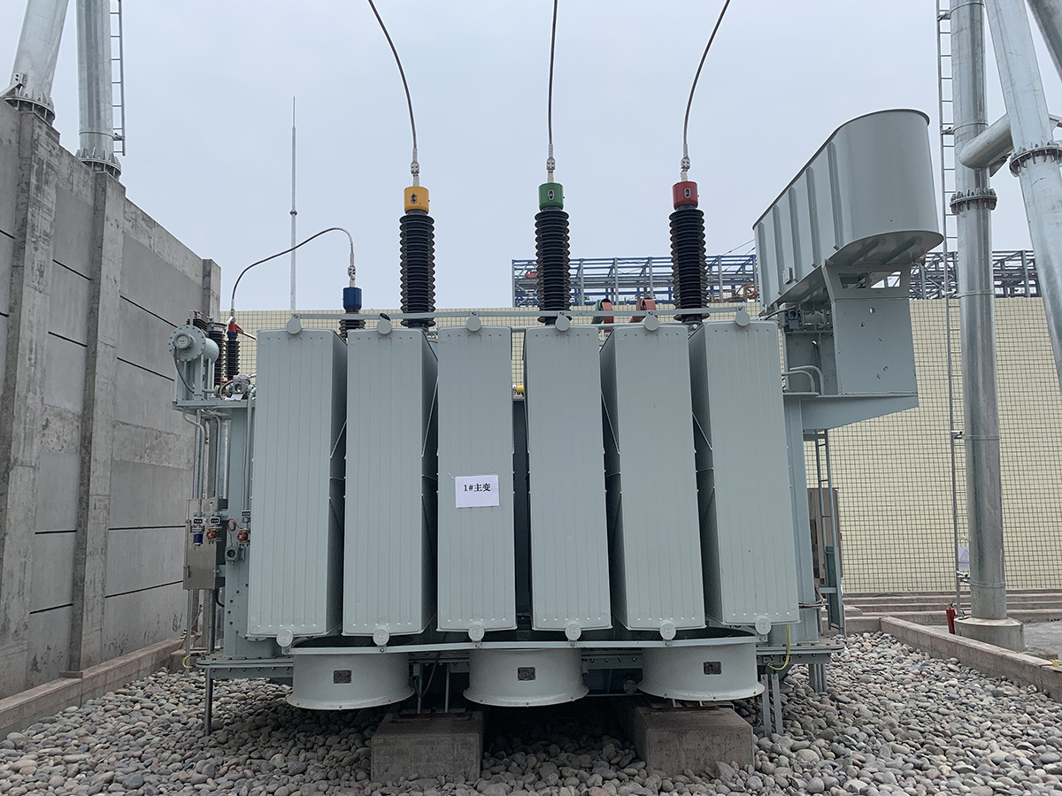 乐山嘉能佳红豆站63000kVA