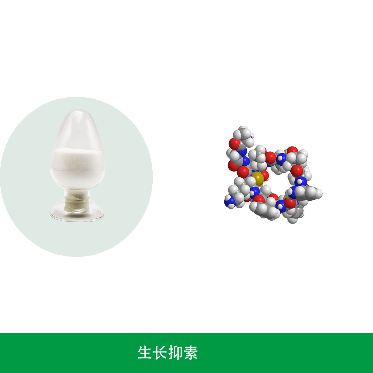 生长抑素