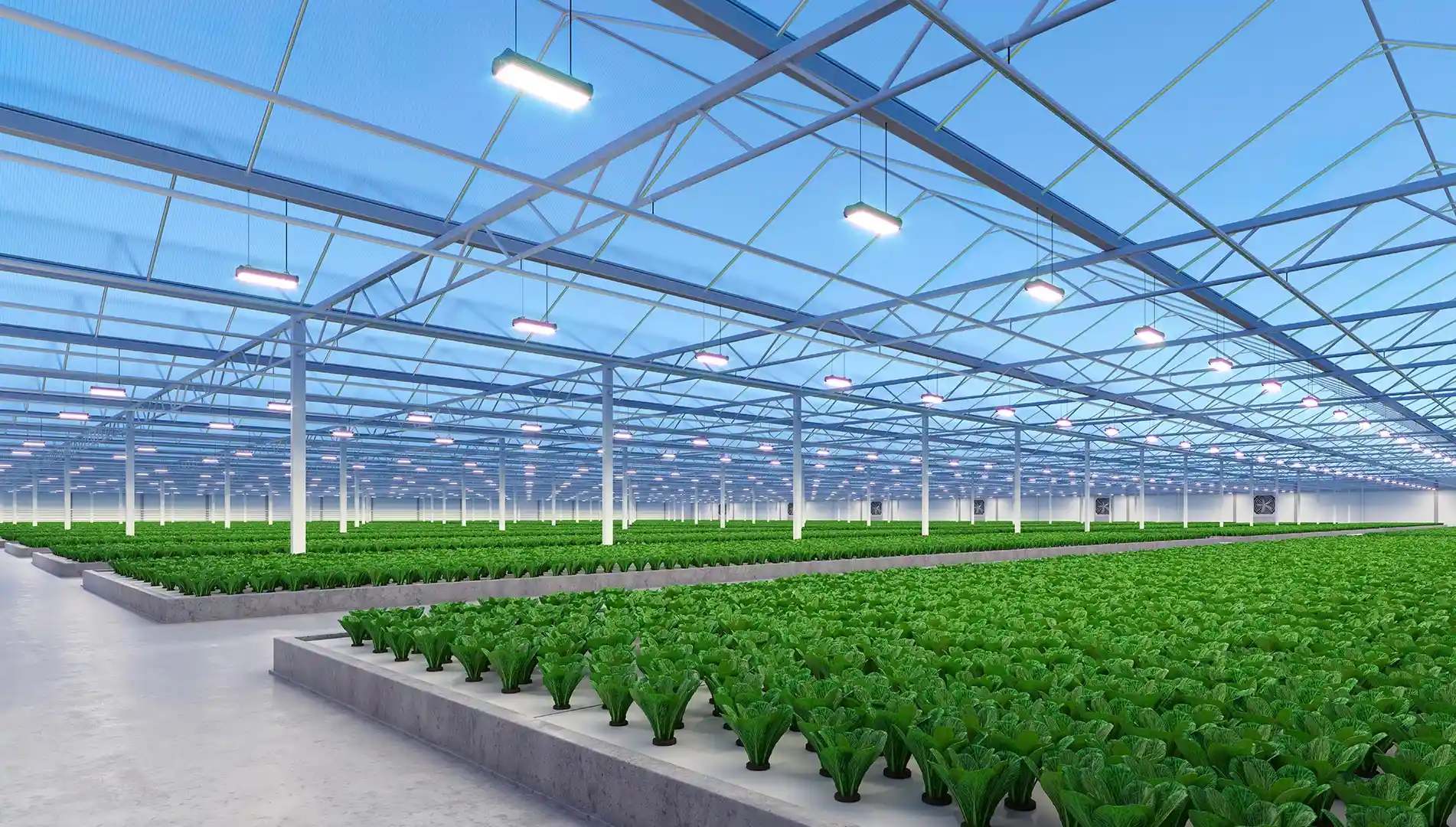 Horticulture Lighting Horticulture Lighting