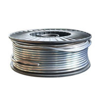 Lead Wire Lead Wire
