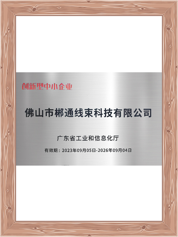 Innovative Enterprise Certification