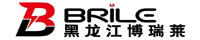 黑龙江博瑞莱智能科技有限公司