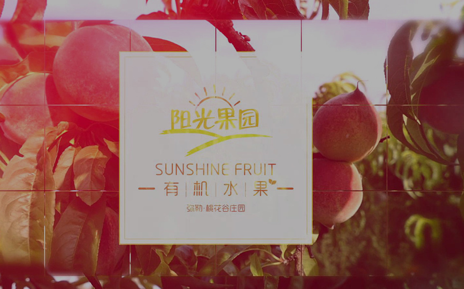 視頻標題
