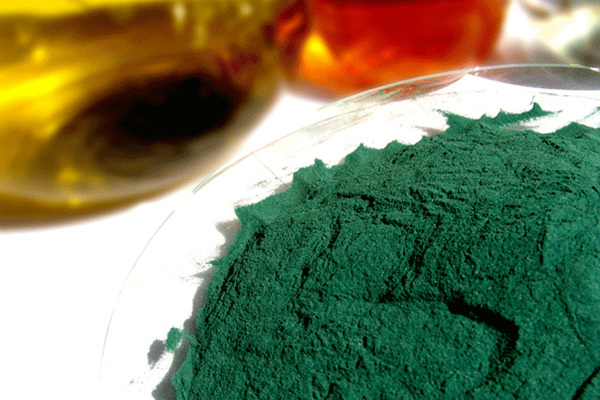 鉻粉（堿式硫酸鉻):25±1% Basic Chrome Sulphate