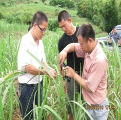 甘蔗深加工与副产物综合利用研发中心