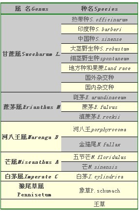 云南省现代农业甘蔗产业技术体系首席科学家