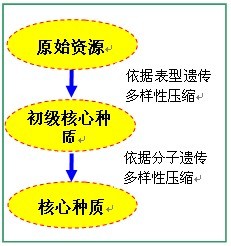 云南省现代农业甘蔗产业技术体系首席科学家