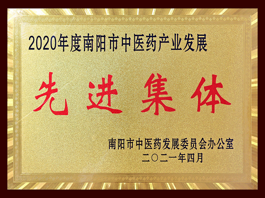 2020年度南陽市中醫(yī)藥產(chǎn)業(yè)發(fā)展先進集體