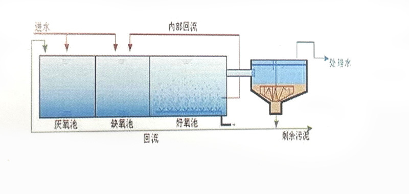 碳源
