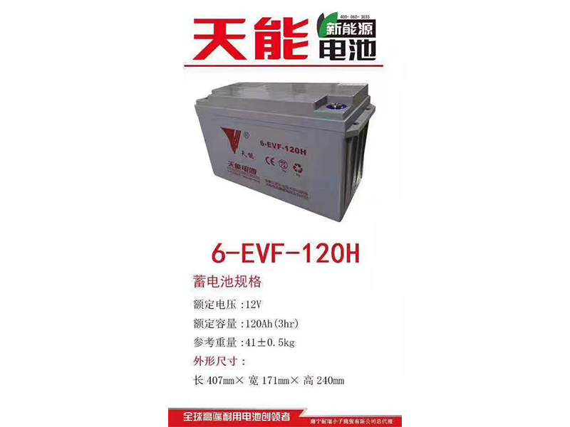 天能電池 6-EVF-120H
