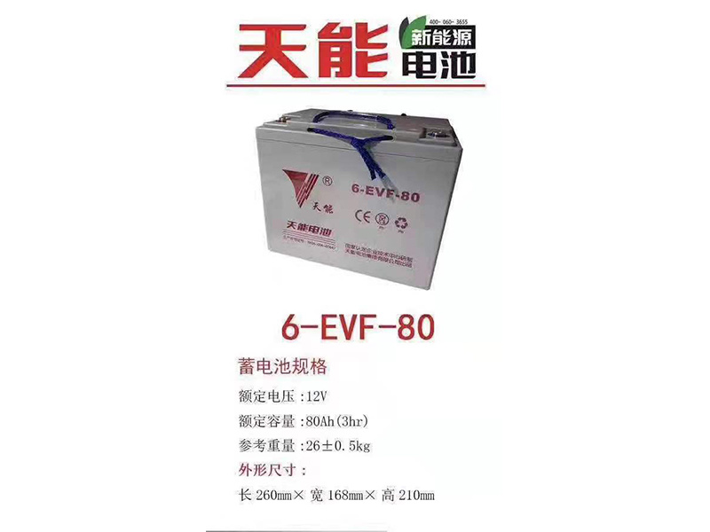天能電池 6-EVF-80