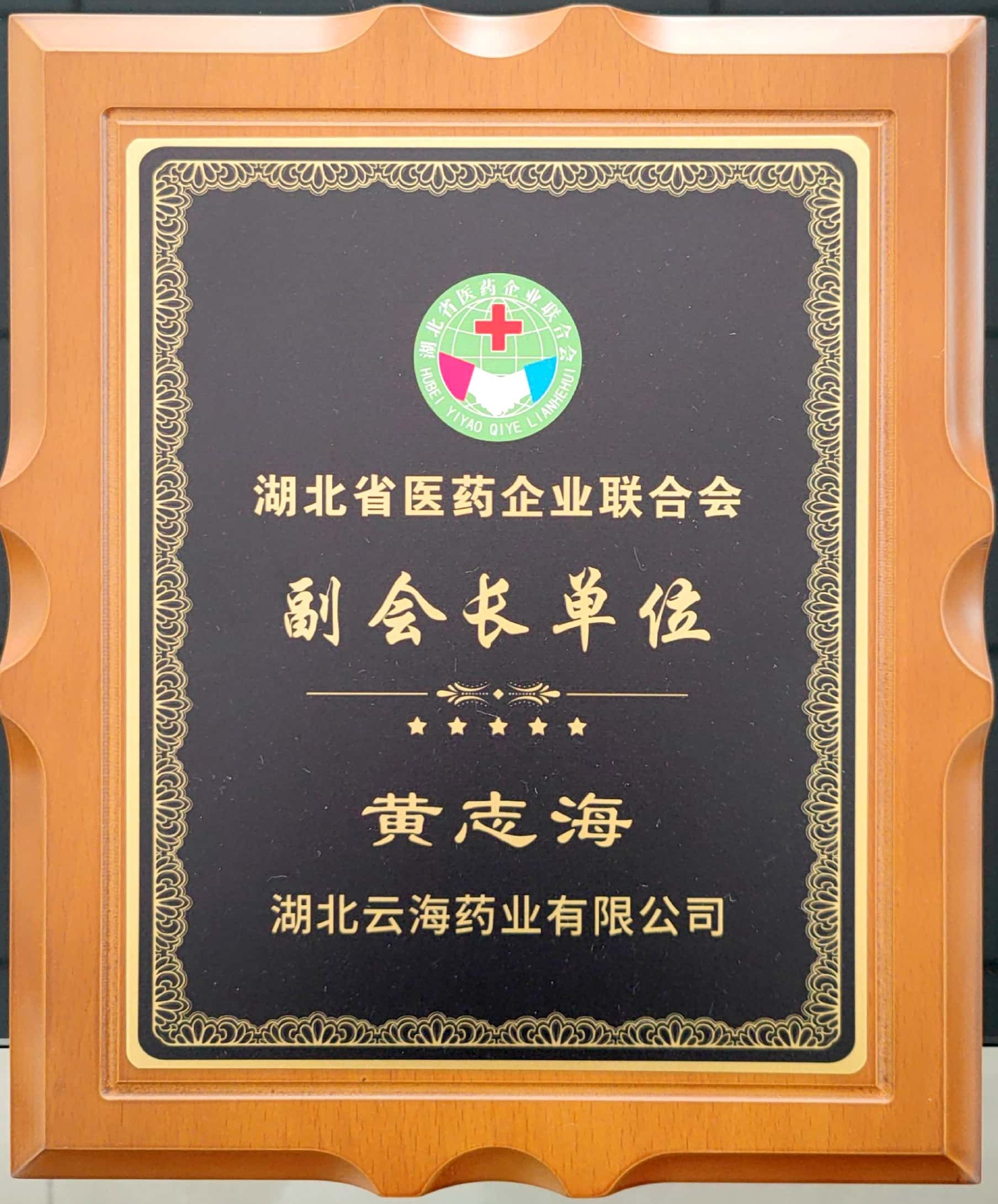 湖北省医药企业联合会副会长单位