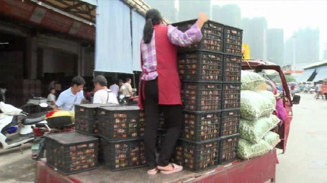 广西桂洁农业开发有限公司