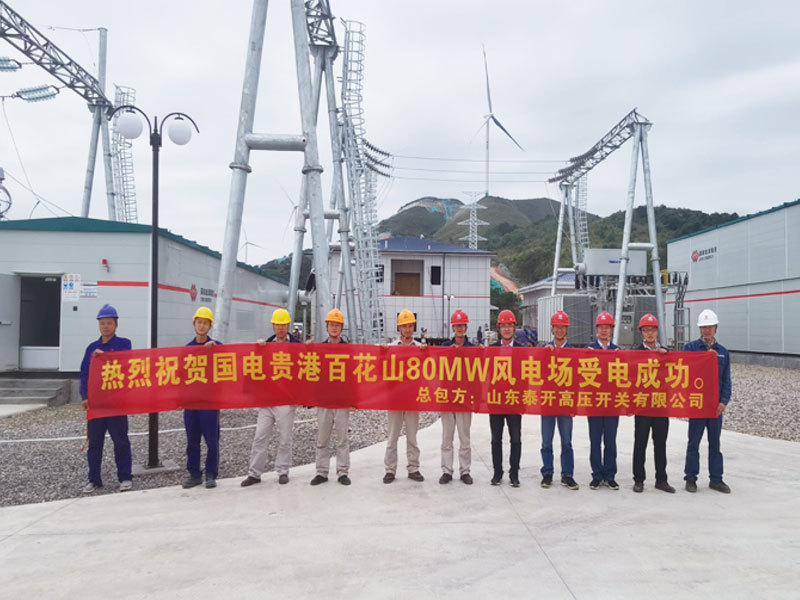 Guodian Guigang Baihuashan Phase I Wind Power Project