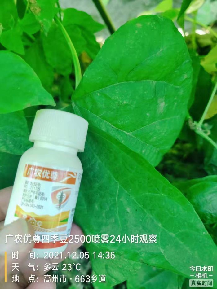 優尊