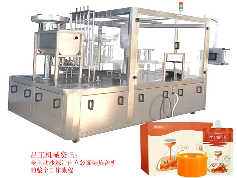 全自动沙棘汁自立袋灌装旋盖机的整个工作流程