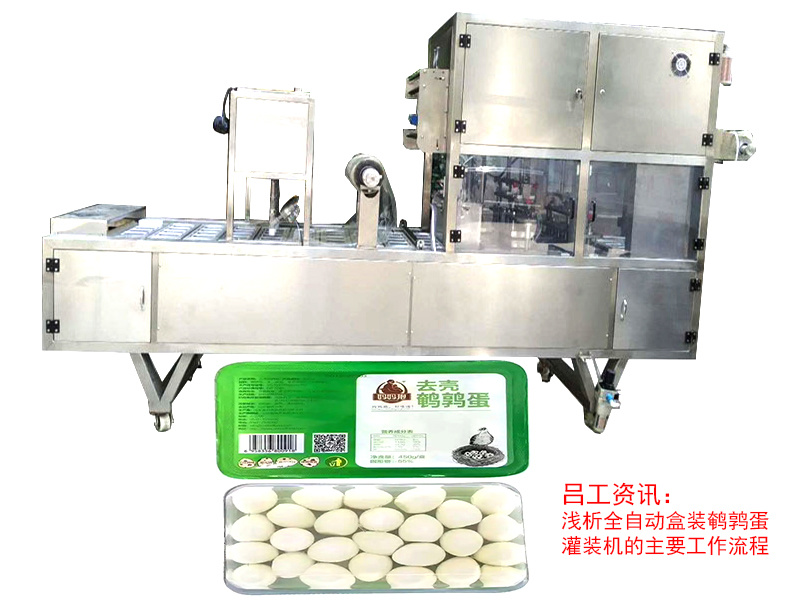 浅析全自动盒装鹌鹑蛋灌装机的主要工作流程
