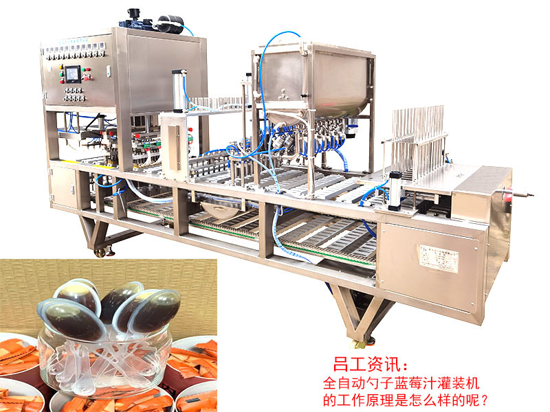 全自动勺子蓝莓汁灌装机的工作原理是怎么样的呢？