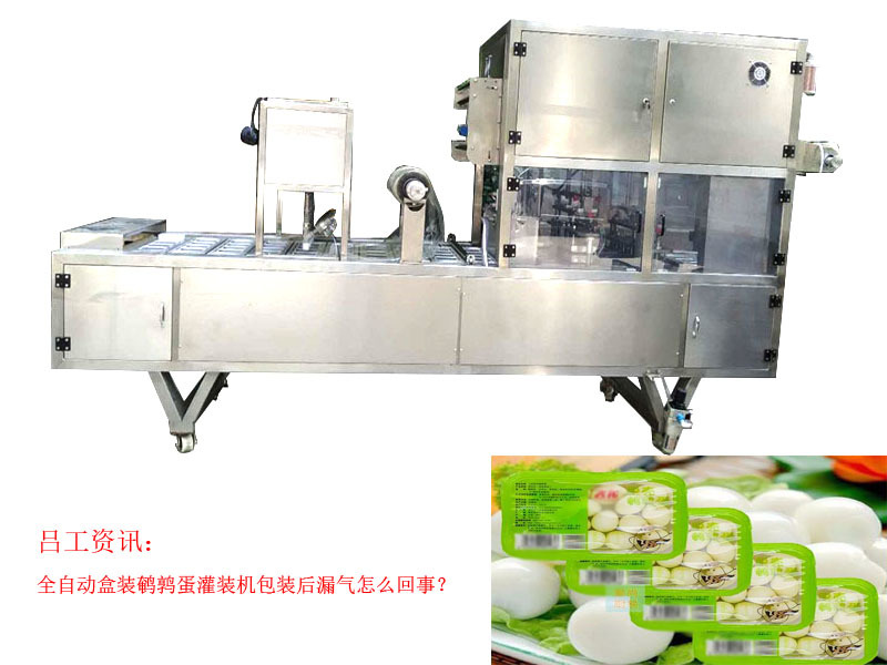 全自动盒装鹌鹑蛋灌装机包装后漏气怎么回事？