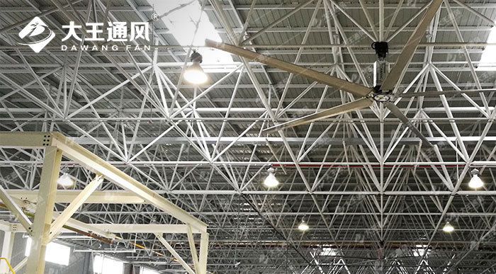 Big Ceiling Fan