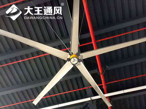 Mobile Standing Fan For Gym