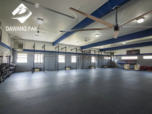 gym ceiling fan