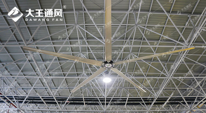 large fan