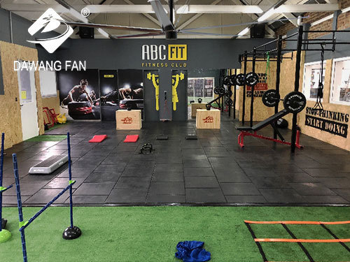 fan for Fitaholic Fitness