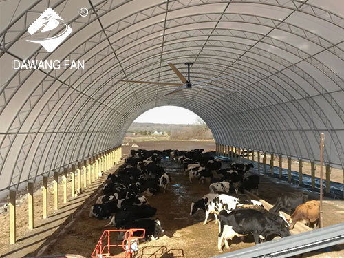 cattle barn fans