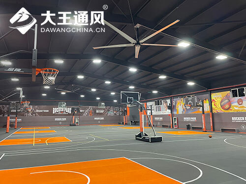 Indoor Sport Ceiling Fans from DAWANG FAN keep athletes Cool and Spectators in the Game