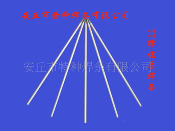 不銹鋼焊條A312