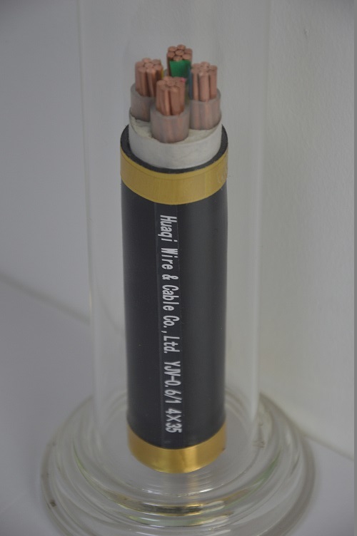 Rated voltage 0.6/1kV XLPE insulated PVC sheathed power cable