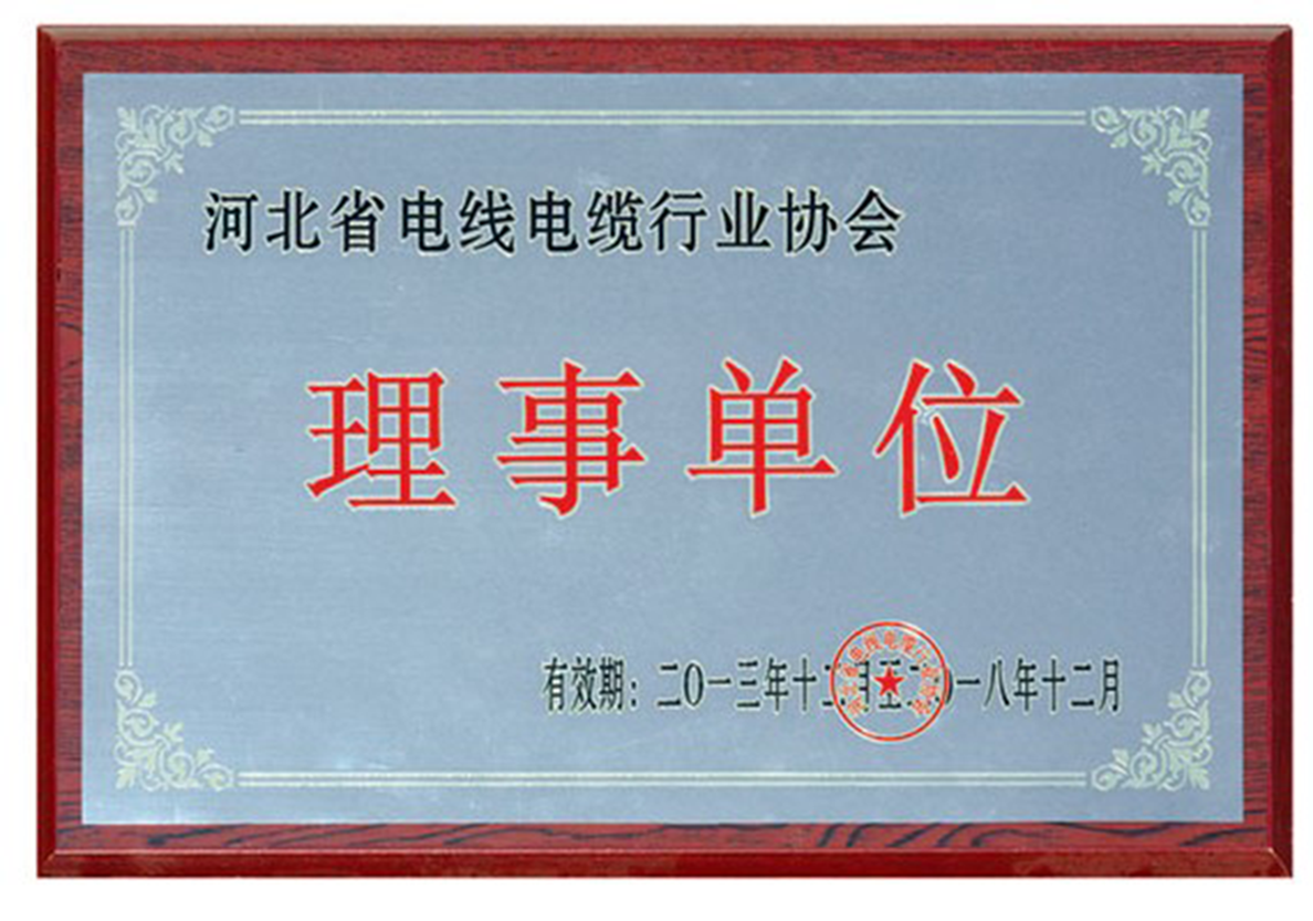 Director Unit of Hebei Electric Wire and Cable Industry Association