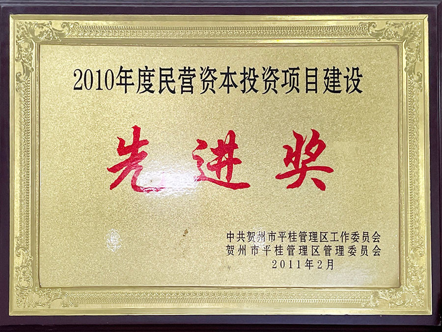 2010年度民營(yíng)資本投資項(xiàng)目建設(shè)先進(jìn)獎(jiǎng)