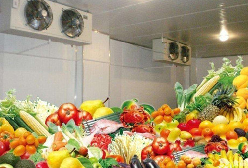How to Adjust the Relative Humidity of Fruit and Vegetable Cold Storage?