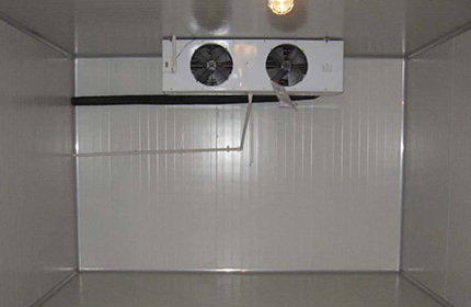Bizter Comp. Condensing Unit & Evaporator for Freezer Room in Trinidad