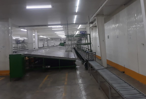 Packaged Air Conditioning for Fruit Process Plant in Guatemala
