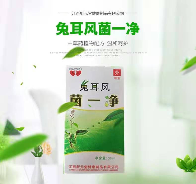兔耳风菌一净