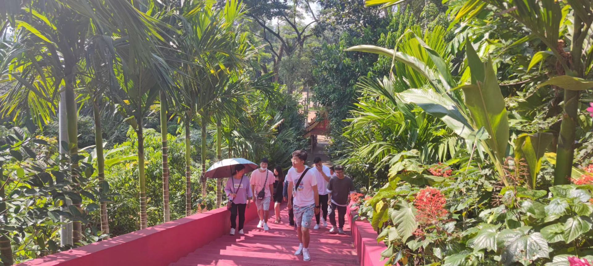 西双版纳旅游团建