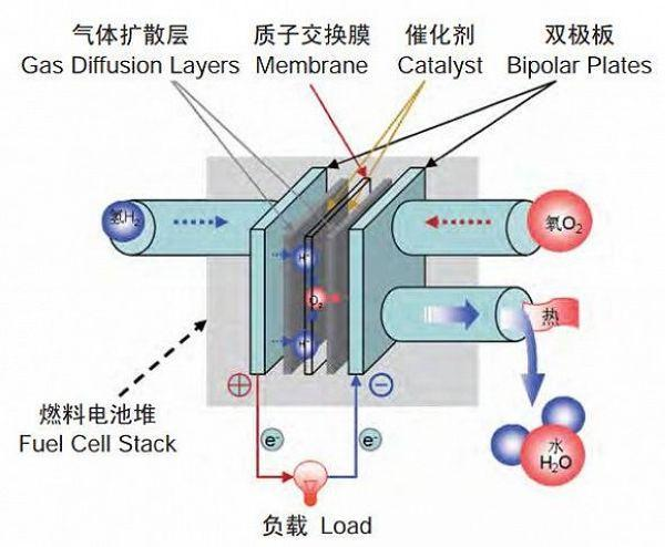 PEMFC燃料电池工作原理