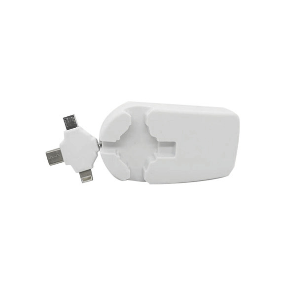 壁式充電器，帶伸縮電纜和 3 個連接器