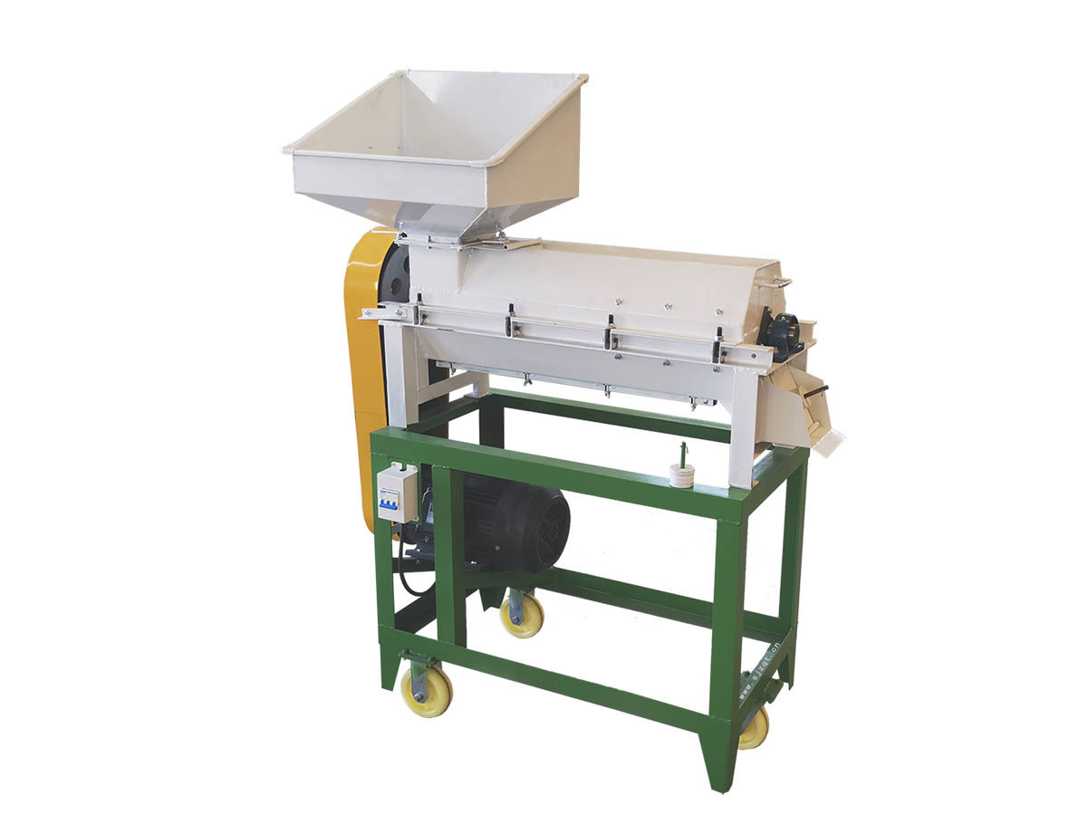 Paddy seed processing machine For sale