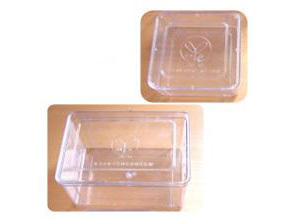 Seed germination box