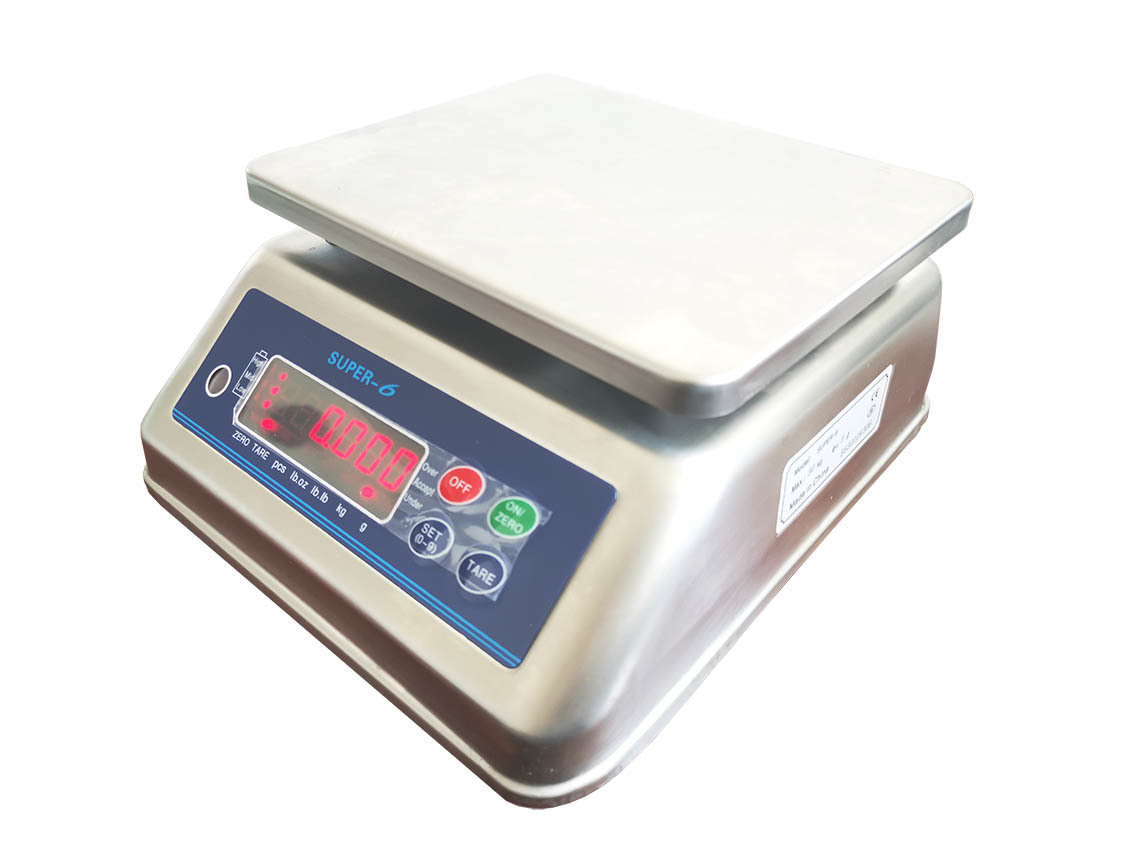 SUPER-6 Series ELECTRONIC SINGLE/ DUAL DISPLAY WEIGHING SCALE