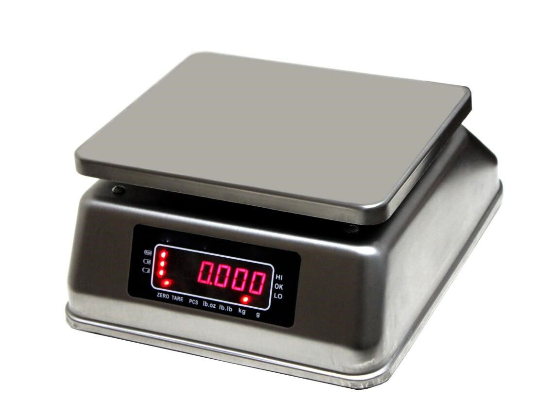 SUPER-6 Series ELECTRONIC SINGLE/ DUAL DISPLAY WEIGHING SCALE